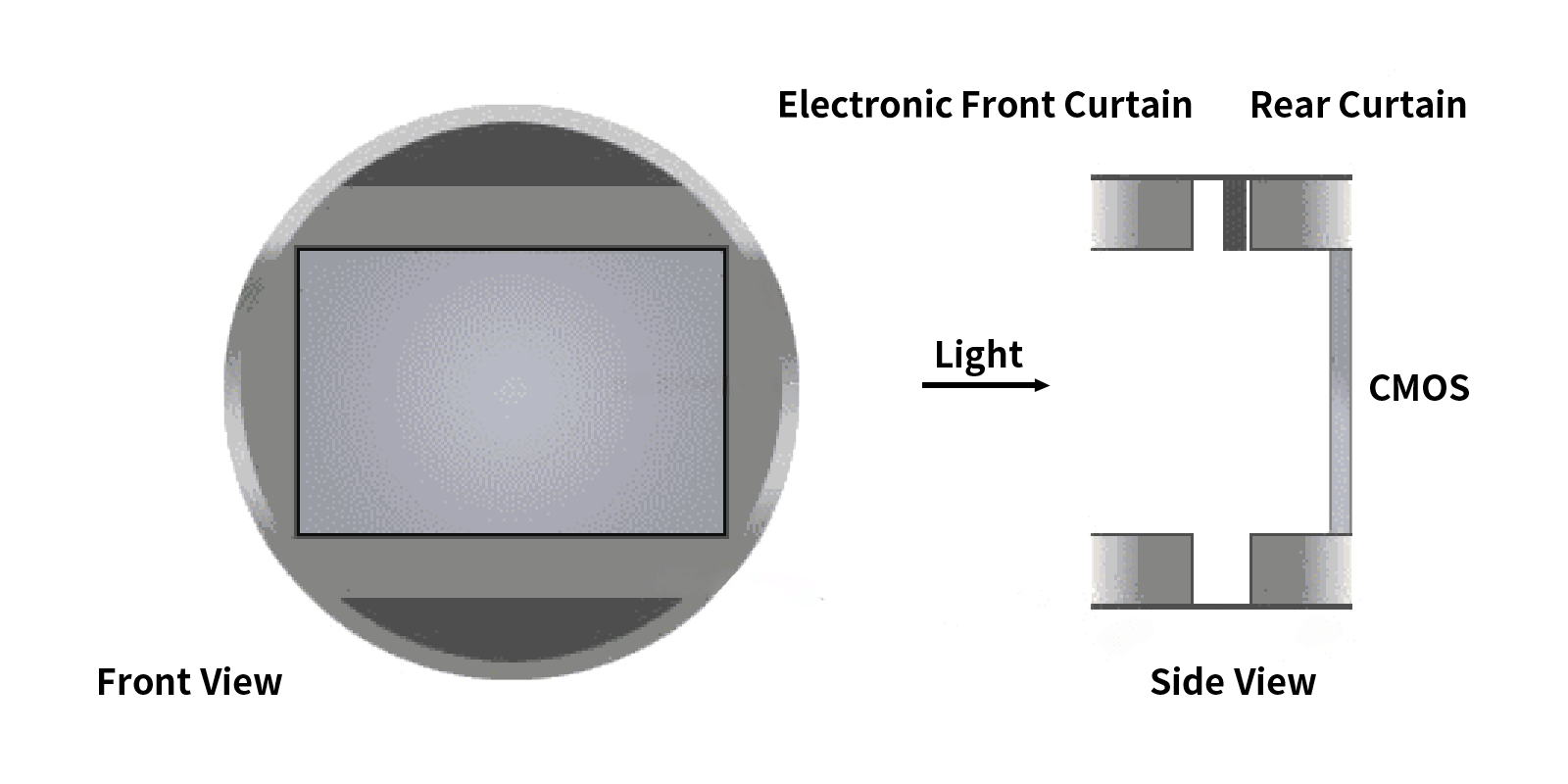 Mirrorless Era Evolution