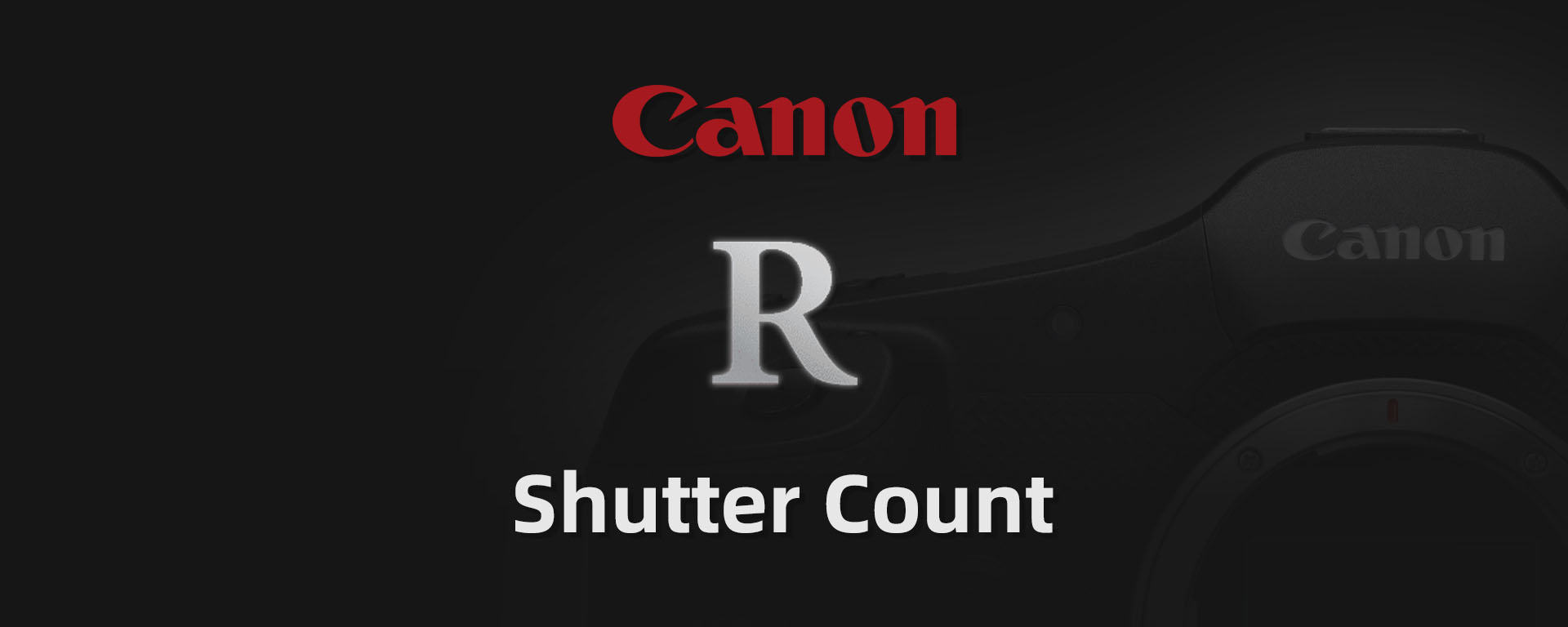 How to Check Canon Camera Shutter Count?