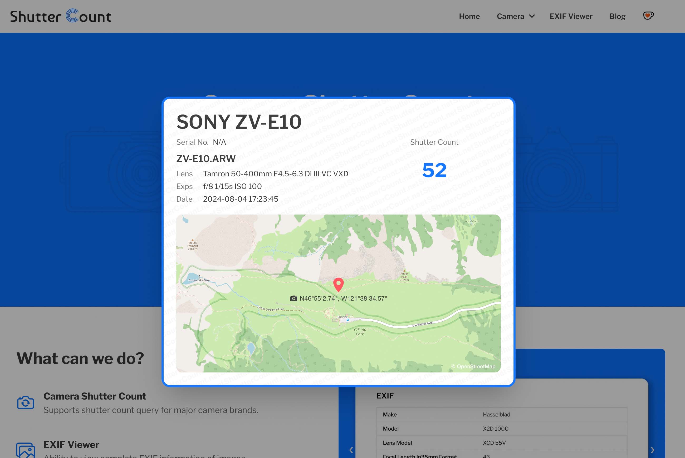 Sony Shutter Count Report