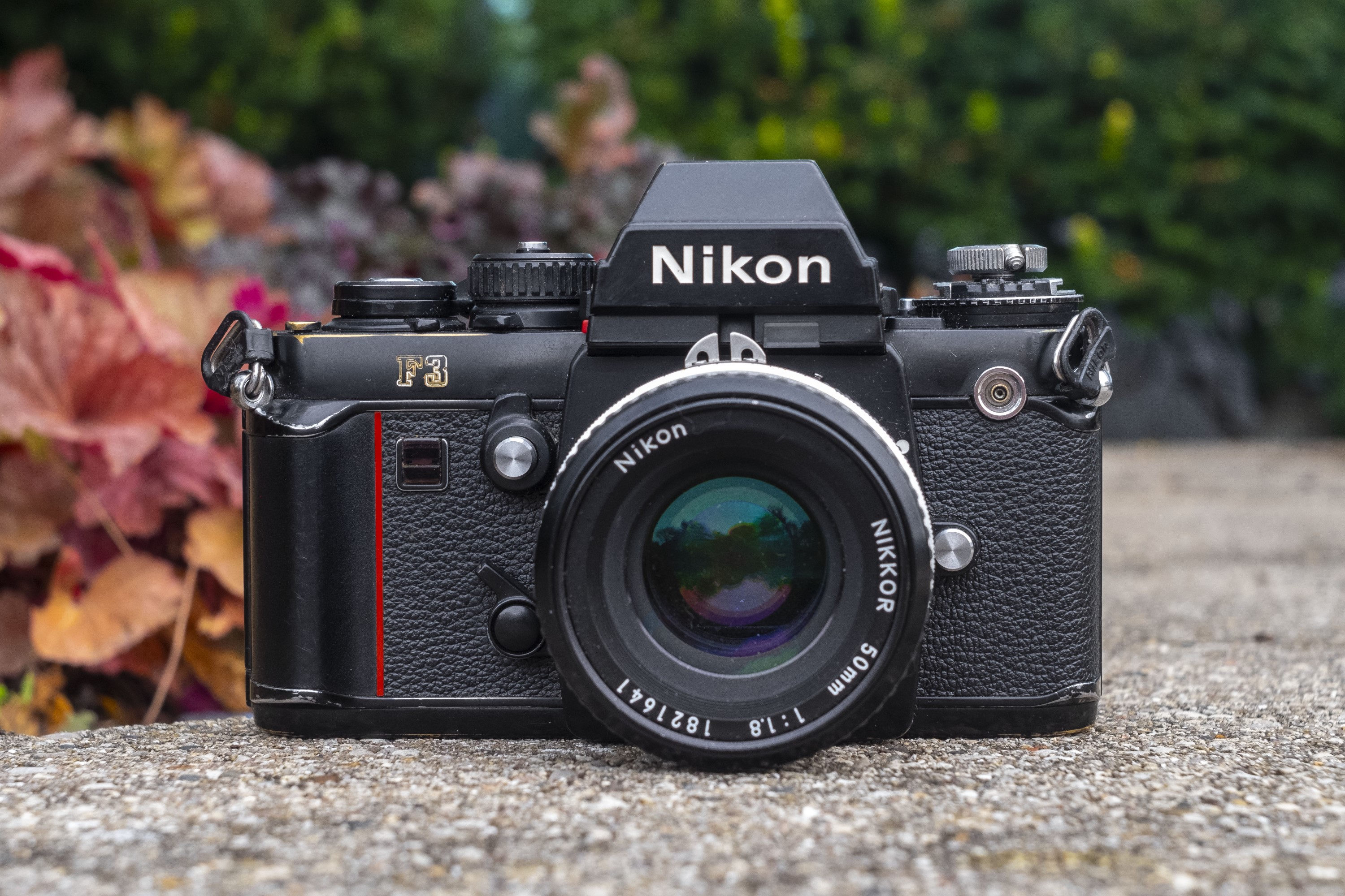 What is the Camera Shutter? The Golden Age of Mechanical Shutters: Precision and Expression