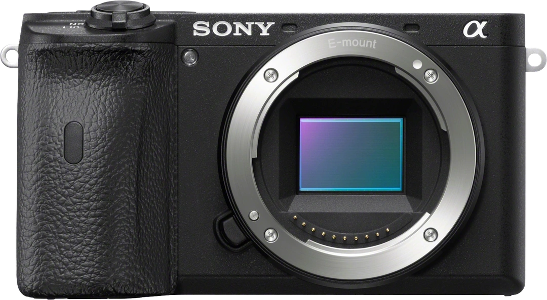 Sony A6600