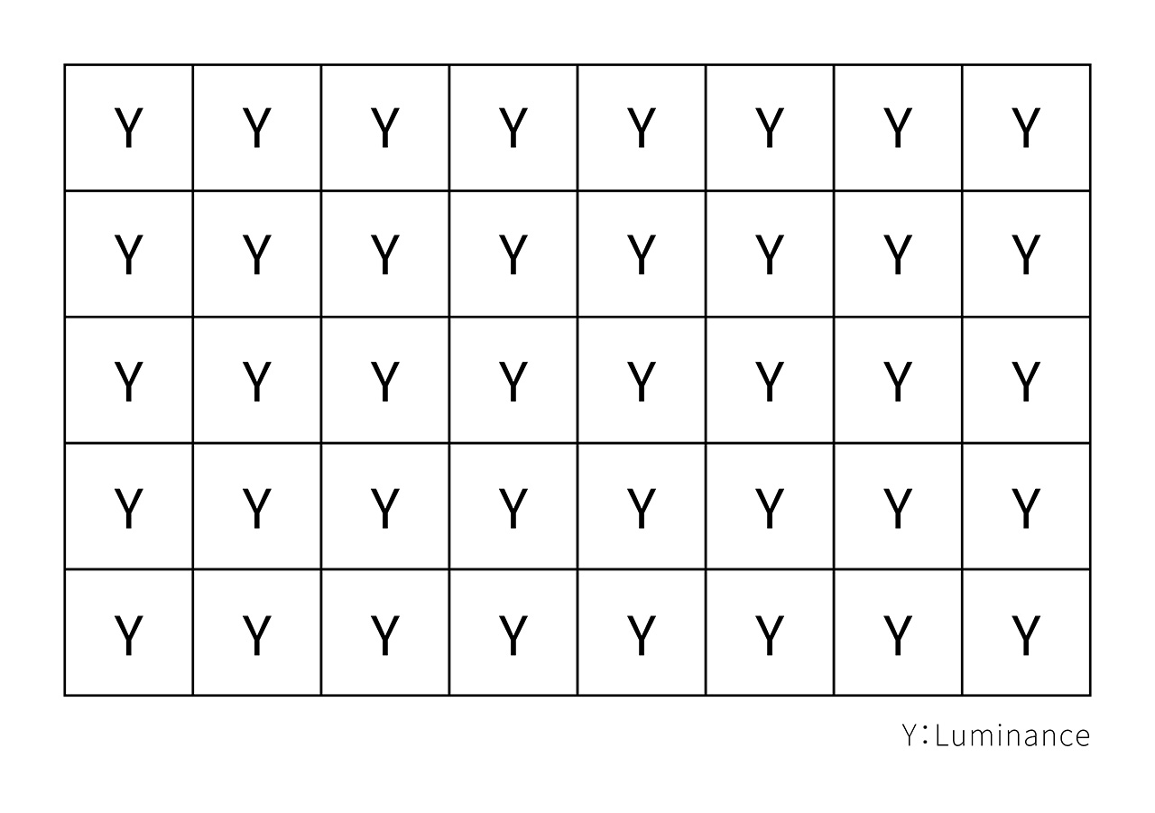 GR IV Monochrome Image Sensor
